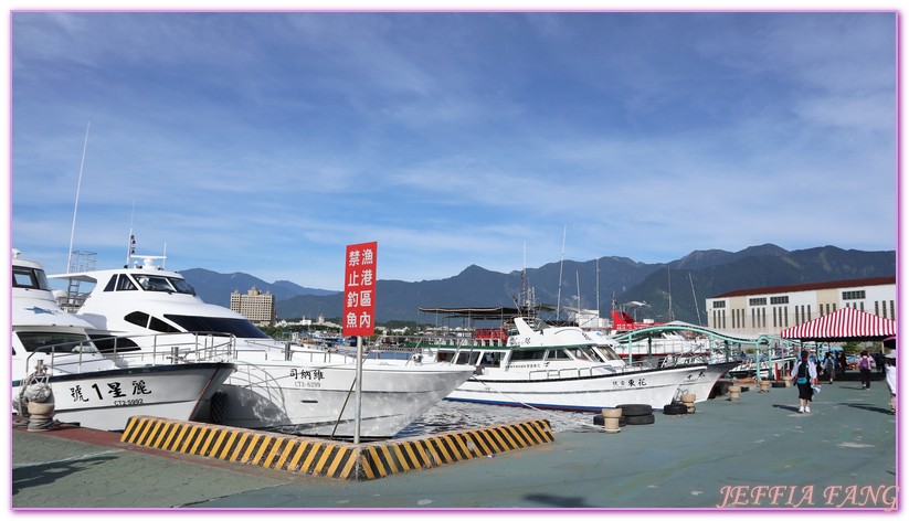 台灣旅遊,海上活動,花蓮海豚,花蓮碼頭,花蓮賞鯨,鯨世界賞鯨