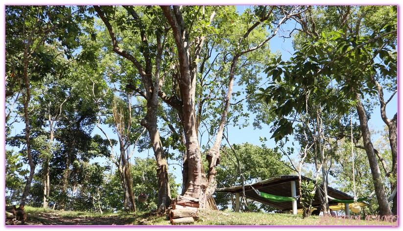 低碳旅遊,台灣旅遊,山林間無菜單料理,海岸咖啡莊園,烘豆體驗,花蓮,部落導覽,部落旅遊