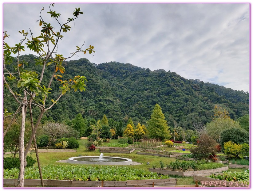 南庄,台灣好行南庄線,台灣旅遊,東江溫泉的舊址,溫泉度假村,美人湯,苗栗,落雨松秘境,雲水溫泉度假村