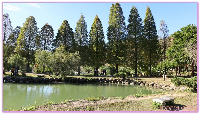 北埔,北埔大湖六塘,北埔曬柿餅,北埔落羽松秘境,台灣旅遊,新竹,新竹九降風,新竹限時限地美景