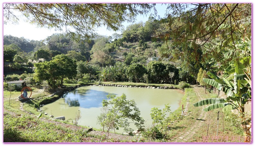 北埔,北埔大湖六塘,北埔曬柿餅,北埔落羽松秘境,台灣旅遊,新竹,新竹九降風,新竹限時限地美景