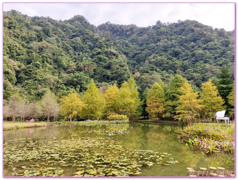 南庄,台灣好行南庄線,台灣旅遊,東江溫泉的舊址,溫泉度假村,美人湯,苗栗,落雨松秘境,雲水溫泉度假村