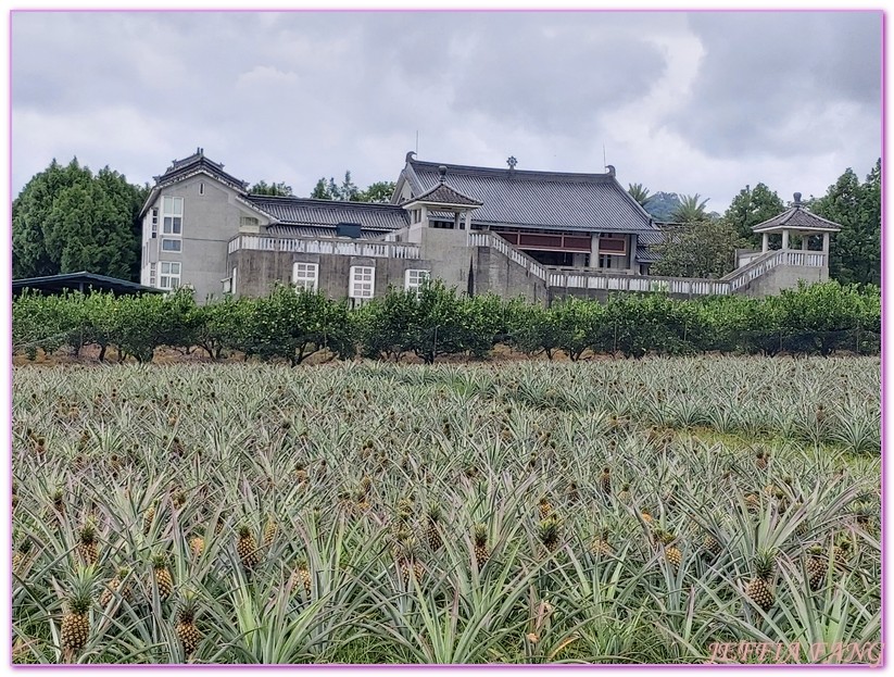 低碳旅遊,台灣旅遊,大農大富平地森林園區,森林鐵馬道,花蓮,花蓮環保林園大道