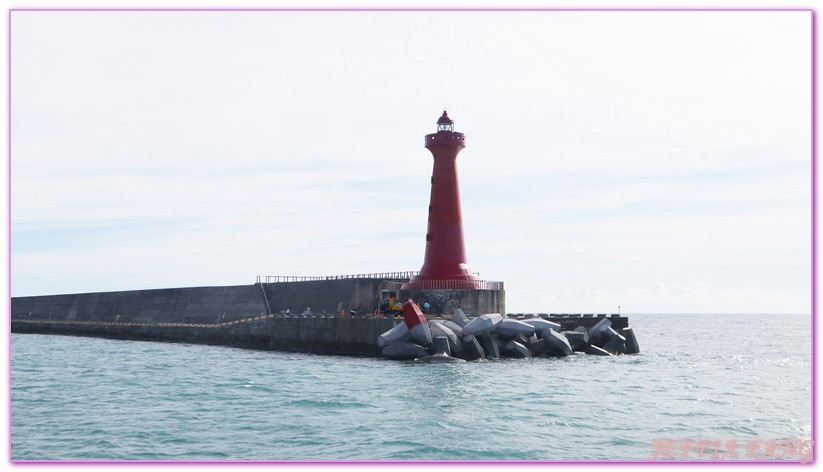 台灣旅遊,海上活動,花蓮海豚,花蓮碼頭,花蓮賞鯨,鯨世界賞鯨