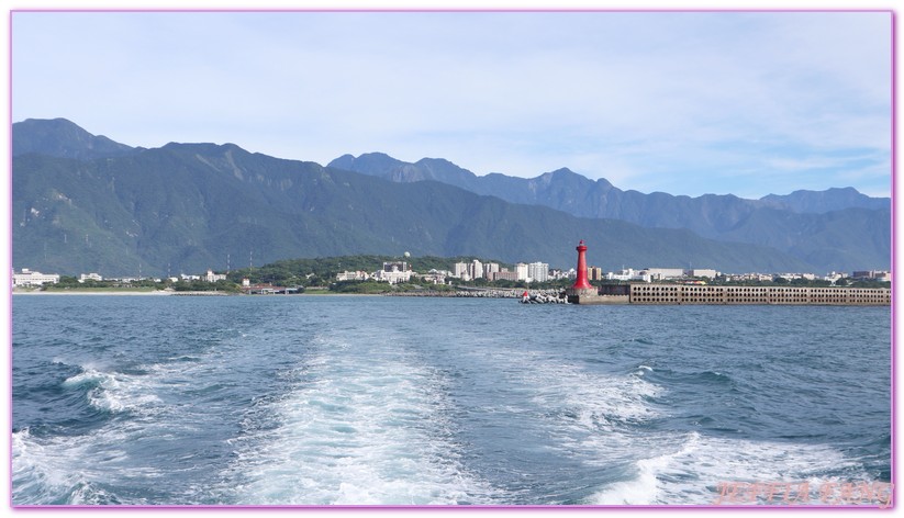 台灣旅遊,海上活動,花蓮海豚,花蓮碼頭,花蓮賞鯨,鯨世界賞鯨 @傑菲亞娃JEFFIA FANG