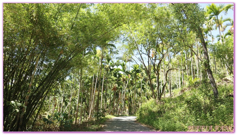 低碳旅遊,台灣旅遊,山林間無菜單料理,海岸咖啡莊園,烘豆體驗,花蓮,部落導覽,部落旅遊