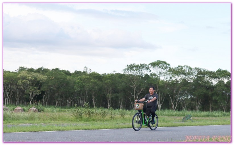 低碳旅遊,台灣旅遊,大農大富平地森林園區,森林鐵馬道,花蓮,花蓮環保林園大道