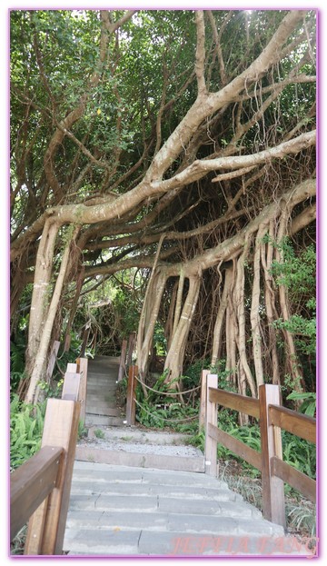 七星潭風景區,低碳旅遊,台灣旅遊,四八高地,戰備坑道,花蓮 @傑菲亞娃JEFFIA FANG