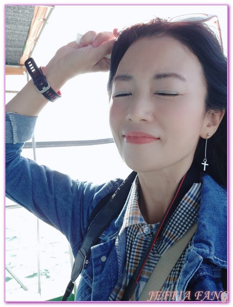 台灣旅遊,海上活動,花蓮海豚,花蓮碼頭,花蓮賞鯨,鯨世界賞鯨