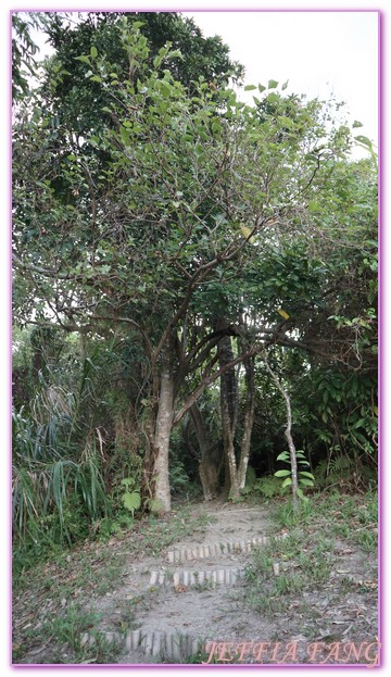 全台唯一靠海的布農族文化,台灣旅遊,花蓮原住民,花蓮豐濱鄉磯崎高山部落,部落旅遊,高山森林基地