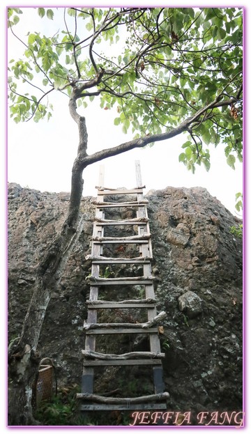 全台唯一靠海的布農族文化,台灣旅遊,花蓮原住民,花蓮豐濱鄉磯崎高山部落,部落旅遊,高山森林基地