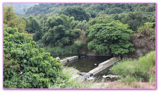 台中霧峰,台灣旅遊,桐林復育箱,桐林生態,桐林社區導覽,桐林社區發展協會,霧峰桐林 @傑菲亞娃JEFFIA FANG