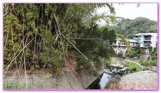 台中霧峰,台灣旅遊,桐林復育箱,桐林生態,桐林社區導覽,桐林社區發展協會,霧峰桐林 @傑菲亞娃JEFFIA FANG