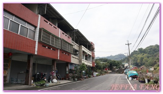 台中霧峰,台灣旅遊,桐林復育箱,桐林生態,桐林社區導覽,桐林社區發展協會,霧峰桐林 @傑菲亞娃JEFFIA FANG