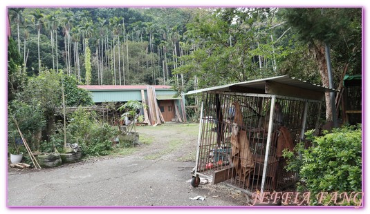 台中霧峰,台灣旅遊,桐林復育箱,桐林生態,桐林社區導覽,桐林社區發展協會,霧峰桐林 @傑菲亞娃JEFFIA FANG