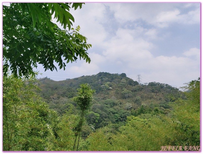 卓也小屋渡假園區,台灣旅遊,國際慢城三義,桐花季,苗栗,螢火蟲,農業三生