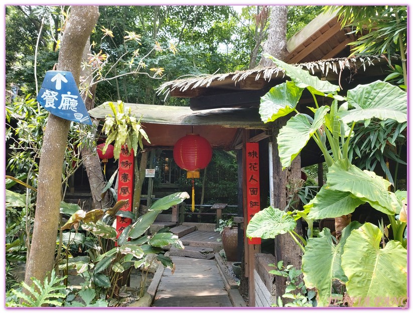 卓也小屋渡假園區,台灣旅遊,國際慢城三義,桐花季,苗栗,螢火蟲,農業三生