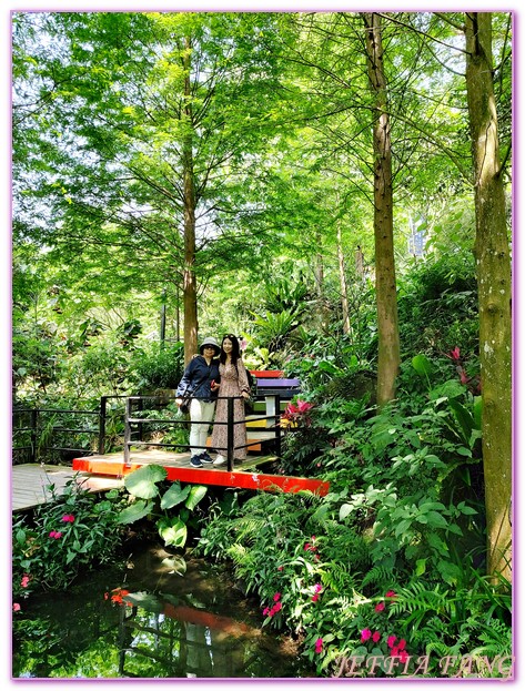 卓也小屋渡假園區,台灣旅遊,國際慢城三義,桐花季,苗栗,螢火蟲,農業三生