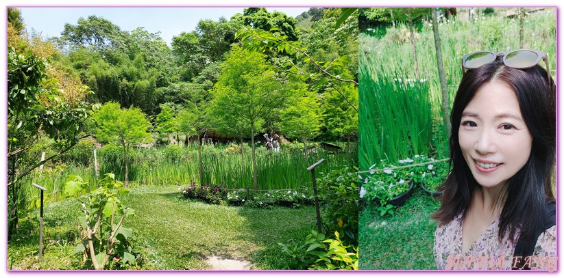 卓也小屋渡假園區,台灣旅遊,國際慢城三義,桐花季,苗栗,螢火蟲,農業三生