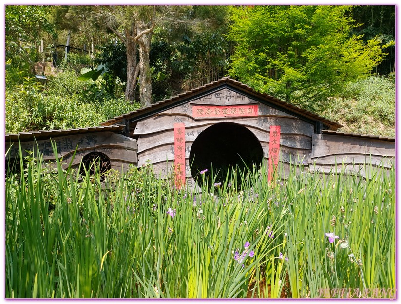 卓也小屋渡假園區,台灣旅遊,國際慢城三義,桐花季,苗栗,螢火蟲,農業三生