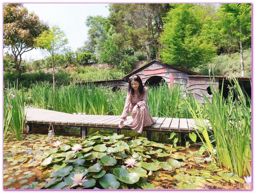 卓也小屋渡假園區,台灣旅遊,國際慢城三義,桐花季,苗栗,螢火蟲,農業三生