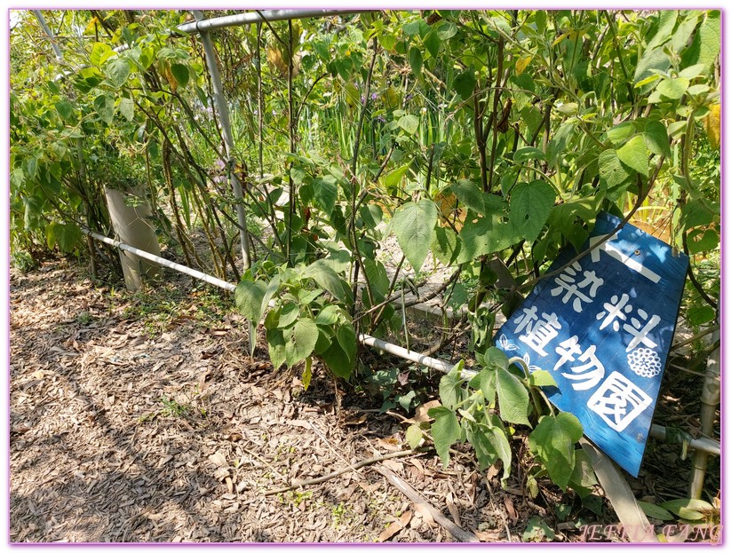 卓也小屋渡假園區,台灣旅遊,國際慢城三義,桐花季,苗栗,螢火蟲,農業三生