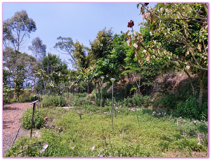 卓也小屋渡假園區,台灣旅遊,國際慢城三義,桐花季,苗栗,螢火蟲,農業三生