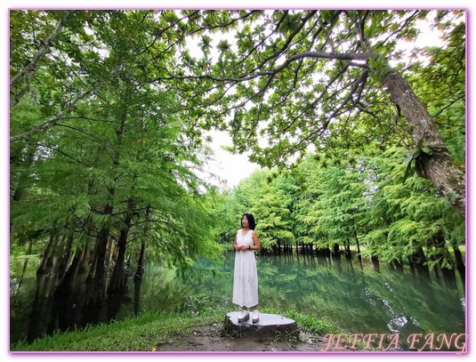 台灣旅遊,花蓮壽豐鄉,花蓮旅遊,花蓮秘境,花蓮落羽松,鈺展苗圃 @傑菲亞娃JEFFIA FANG