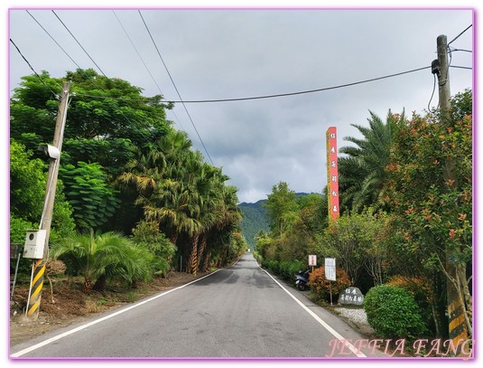 台灣旅遊,花蓮壽豐鄉,花蓮旅遊,花蓮秘境,花蓮落羽松,鈺展苗圃 @傑菲亞娃JEFFIA FANG