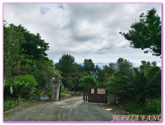 台灣旅遊,花蓮壽豐鄉,花蓮旅遊,花蓮秘境,花蓮落羽松,鈺展苗圃