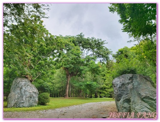 台灣旅遊,花蓮壽豐鄉,花蓮旅遊,花蓮秘境,花蓮落羽松,鈺展苗圃