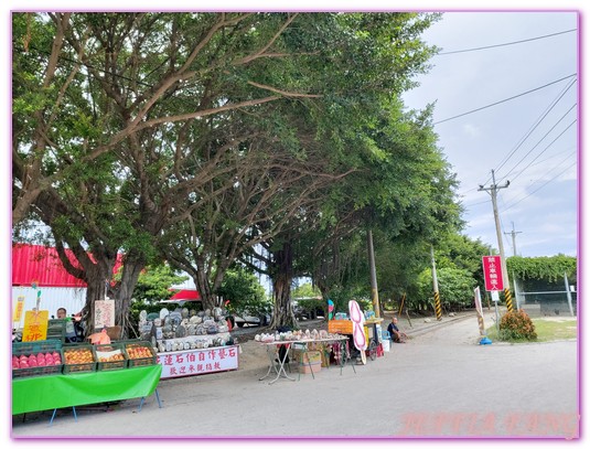 台灣旅遊,台開心農場,洄瀾星巴克,花蓮吉安鄉,花蓮單車遊,花蓮旅遊,花蓮網美打卡景點