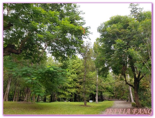 台灣旅遊,花蓮壽豐鄉,花蓮旅遊,花蓮秘境,花蓮落羽松,鈺展苗圃 @傑菲亞娃JEFFIA FANG