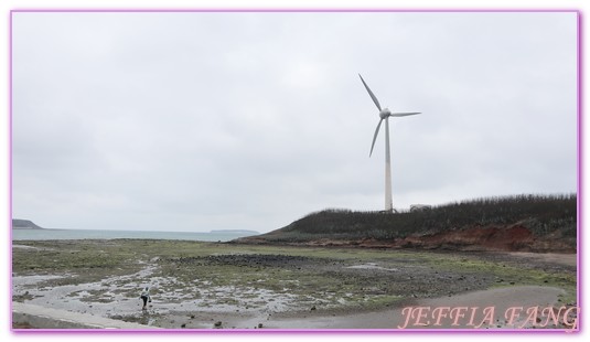 中屯電力發電廠,中屯風車,北環浪漫,台灣旅遊,易家仙人掌冰,澎湖旅遊,白沙鄉,西嶼鄉,跨海大橋,通樑古榕 @傑菲亞娃JEFFIA FANG