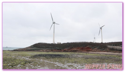 中屯電力發電廠,中屯風車,北環浪漫,台灣旅遊,易家仙人掌冰,澎湖旅遊,白沙鄉,西嶼鄉,跨海大橋,通樑古榕