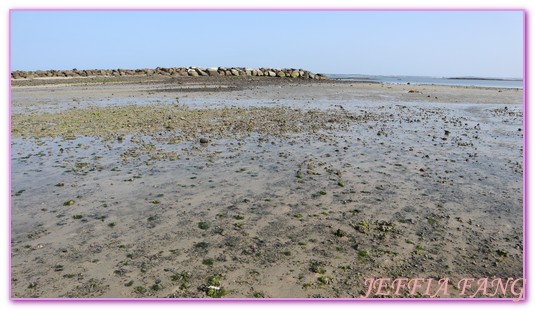 台灣旅遊,員貝嶼,抱墩抓魚,東海巡航,潮間帶體驗,澎湖,澎湖旅遊,石滬抓魚 @傑菲亞娃JEFFIA FANG