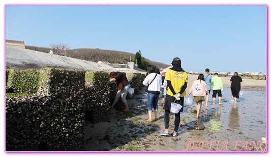 台灣旅遊,員貝嶼,抱墩抓魚,東海巡航,潮間帶體驗,澎湖,澎湖旅遊,石滬抓魚 @傑菲亞娃JEFFIA FANG