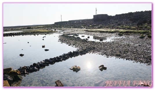 台灣旅遊,員貝嶼,抱墩抓魚,東海巡航,潮間帶體驗,澎湖,澎湖旅遊,石滬抓魚