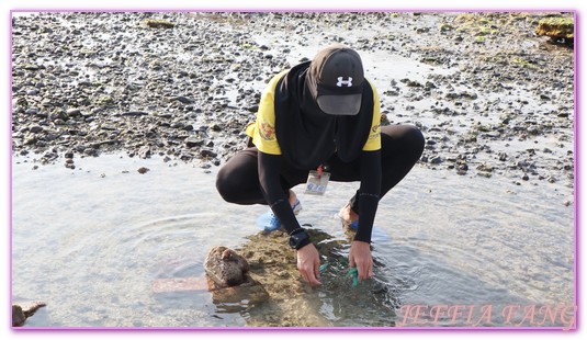 台灣旅遊,員貝嶼,抱墩抓魚,東海巡航,潮間帶體驗,澎湖,澎湖旅遊,石滬抓魚 @傑菲亞娃JEFFIA FANG