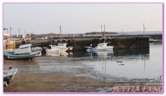 台灣旅遊,員貝嶼,抱墩抓魚,東海巡航,潮間帶體驗,澎湖,澎湖旅遊,石滬抓魚