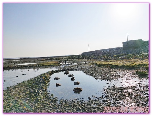 台灣旅遊,員貝嶼,抱墩抓魚,東海巡航,潮間帶體驗,澎湖,澎湖旅遊,石滬抓魚