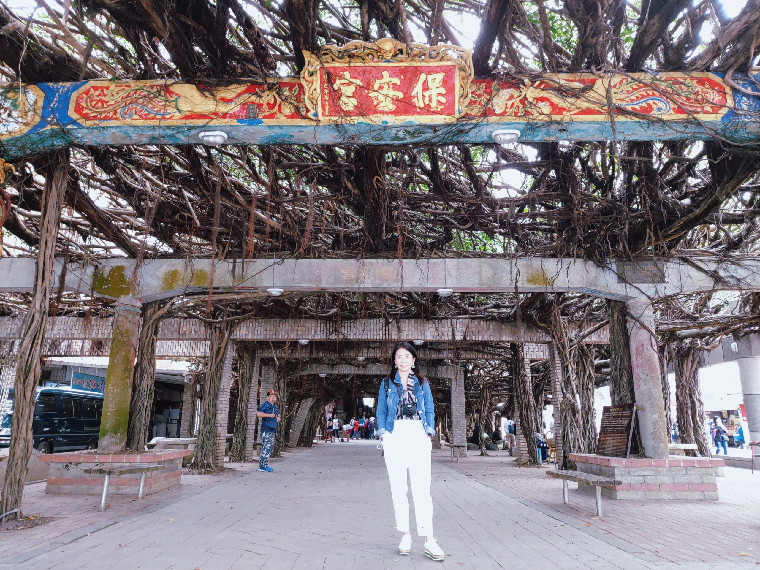 中屯電力發電廠,中屯風車,北環浪漫,台灣旅遊,易家仙人掌冰,澎湖旅遊,白沙鄉,西嶼鄉,跨海大橋,通樑古榕 @傑菲亞娃JEFFIA FANG