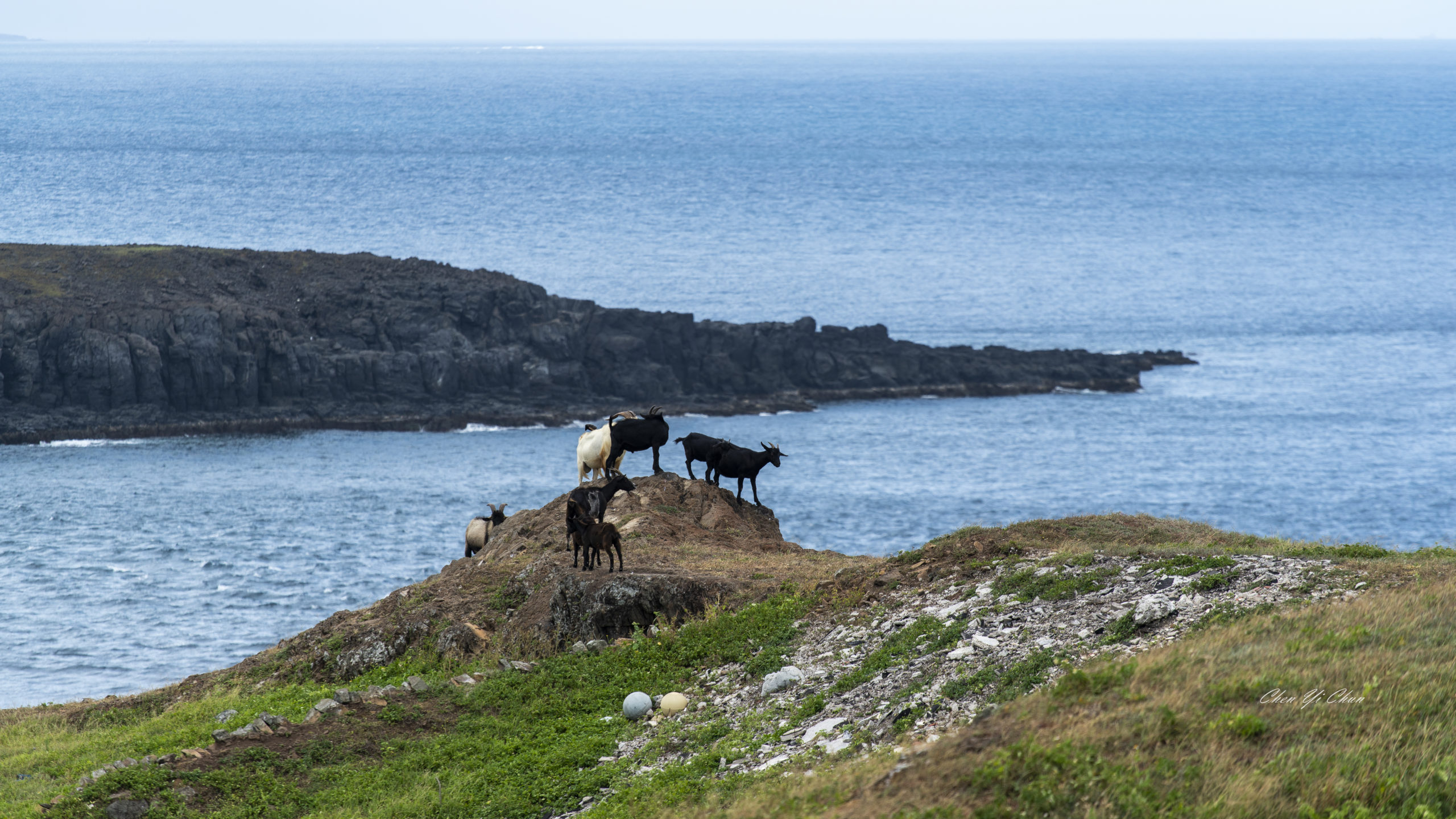 南方四島,台灣旅遊,東吉嶼,東吉燈塔,澎湖旅遊,藍洞,西吉嶼,西吉嶼擱淺船 @傑菲亞娃JEFFIA FANG