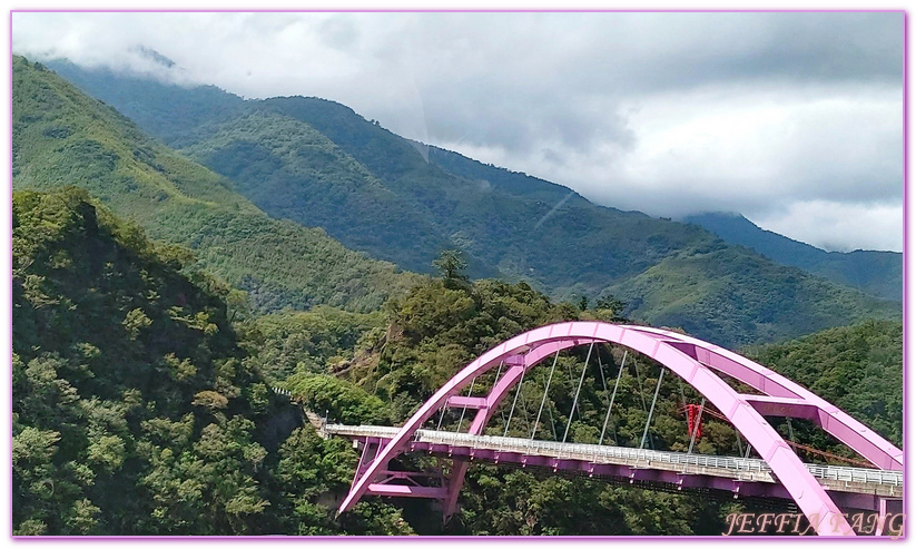 台灣旅遊,台灣最大面積紅檜森林,拉拉山巨木群,拉拉山自然保護區,桃園旅遊,桃園金牌好遊