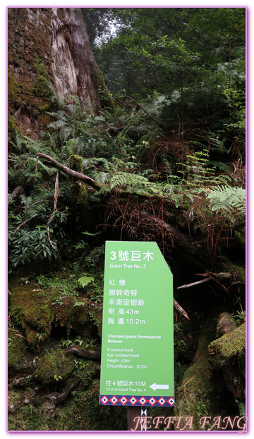 台灣旅遊,台灣最大面積紅檜森林,拉拉山巨木群,拉拉山自然保護區,桃園旅遊,桃園金牌好遊 @傑菲亞娃JEFFIA FANG