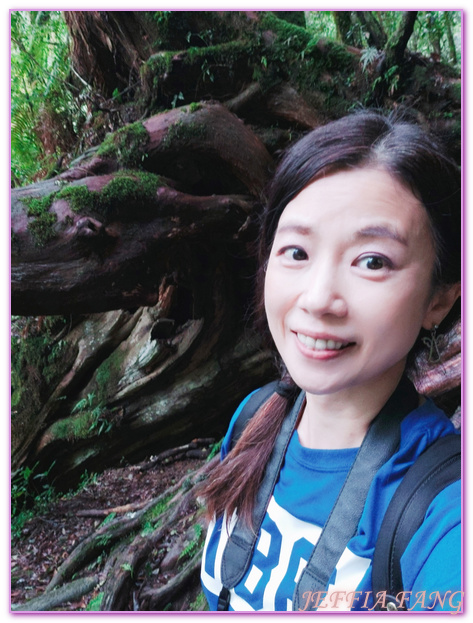 台灣旅遊,台灣最大面積紅檜森林,拉拉山巨木群,拉拉山自然保護區,桃園旅遊,桃園金牌好遊