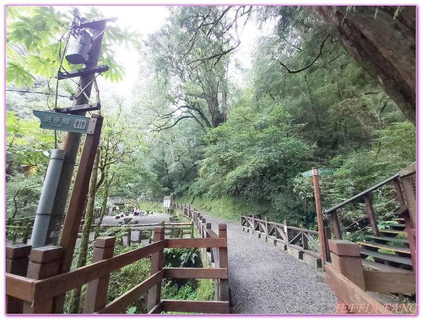 台灣旅遊,台灣最大面積紅檜森林,拉拉山巨木群,拉拉山自然保護區,桃園旅遊 @傑菲亞娃JEFFIA FANG