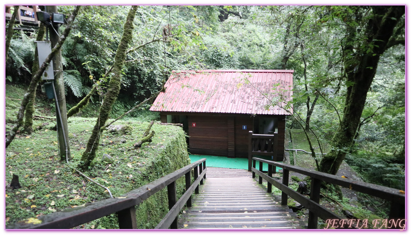 台灣旅遊,台灣最大面積紅檜森林,拉拉山巨木群,拉拉山自然保護區,桃園旅遊,桃園金牌好遊