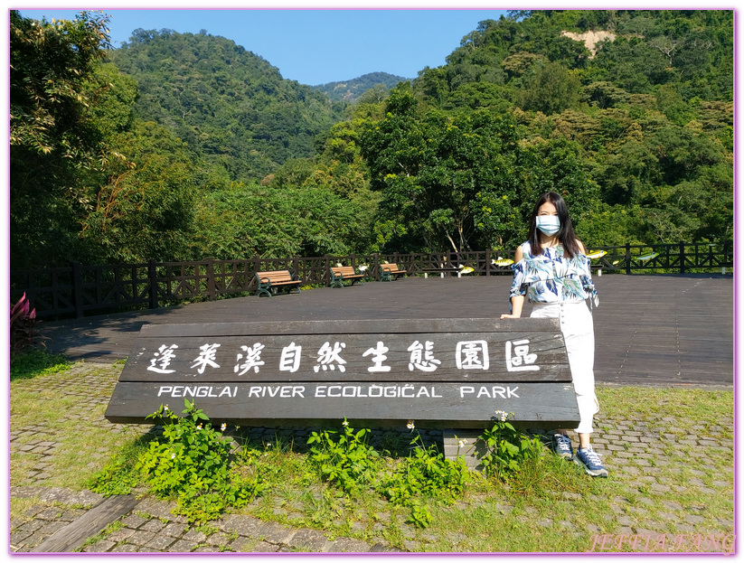 南庄生態旅遊,台灣旅遊,國際慢城南庄,苦花魚,蓬萊溪護魚步道 @傑菲亞娃JEFFIA FANG