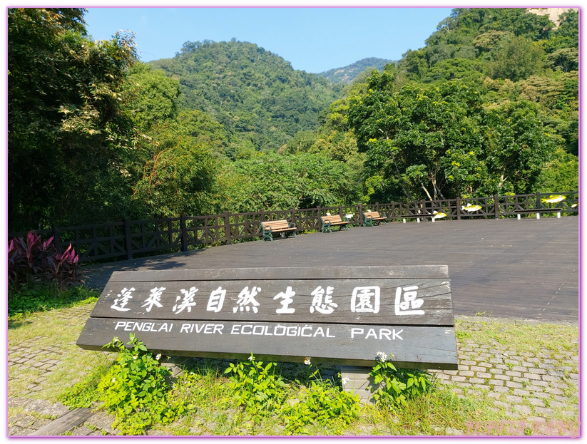 南庄生態旅遊,台灣旅遊,國際慢城南庄,苦花魚,蓬萊溪護魚步道 @傑菲亞娃JEFFIA FANG